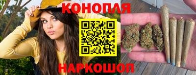 сатива Краснознаменск