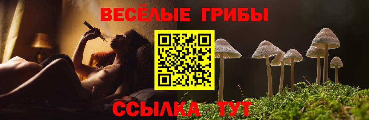 Псилоцибиновые грибы прущие грибы Кинель